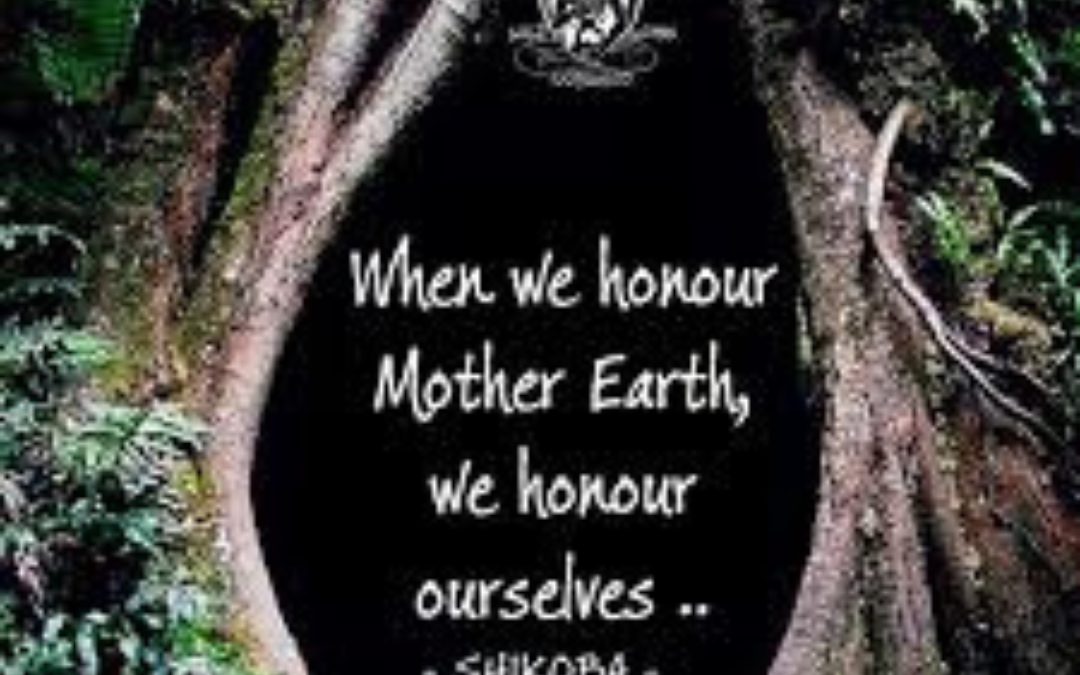 Reconnecting with the Earth